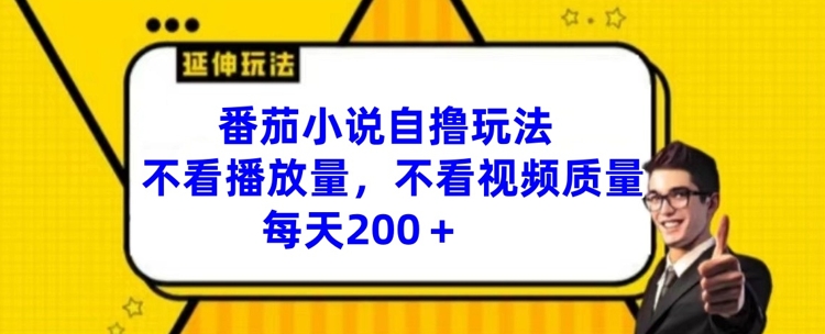 番茄小说自撸玩法，不看播放量，不看视频质量，每天200+【揭秘】-南友云赚