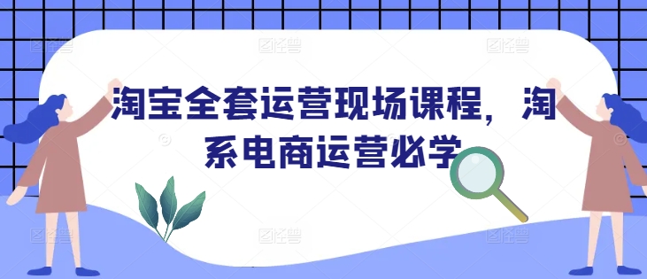 淘宝全套运营现场课程，淘系电商运营必学-南友云赚