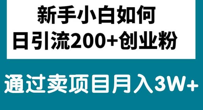 新手小白日引流200+创业粉,通过卖项目月入3W+-南友云赚