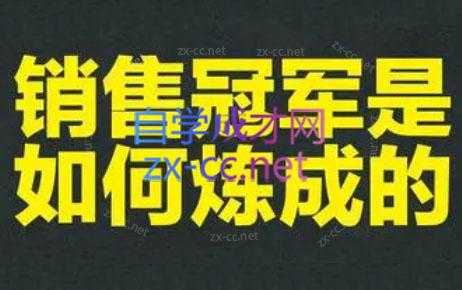 林林老师·成为外贸销售冠军课-南友云赚