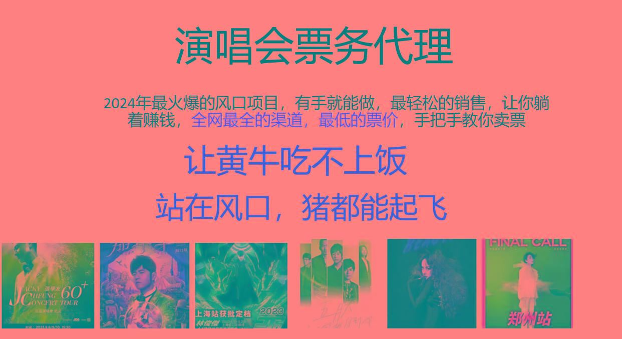 2024年最火爆风口项目，演唱会票务代理，日入2000+，一部手机就能搞定！-南友云赚