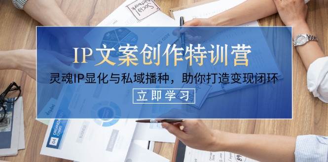 IP文案创作特训营，灵魂IP显化与私域播种，助你打造变现闭环(14节课)-南友云赚