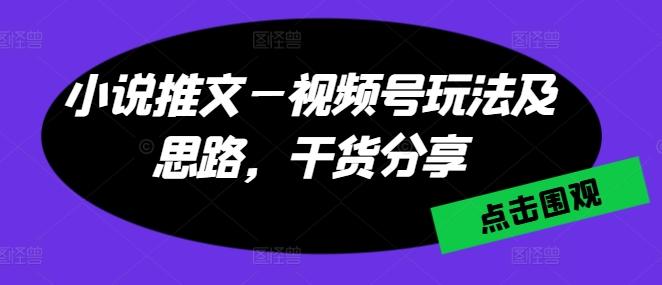 小说推文—视频号玩法及思路，干货分享-南友云赚