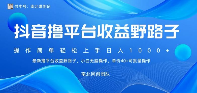 最新撸抖音平台收益野路子，操作简单，单价高，小白可无脑操作可日入1000+-南友云赚