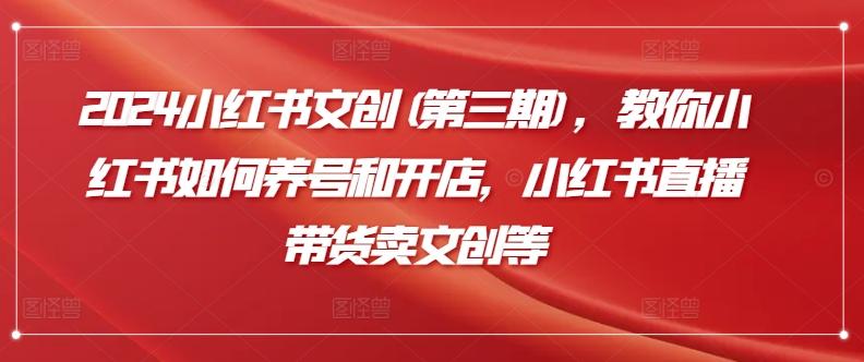 2024小红书文创(第三期)，教你小红书如何养号和开店，小红书直播带货卖文创等-南友云赚