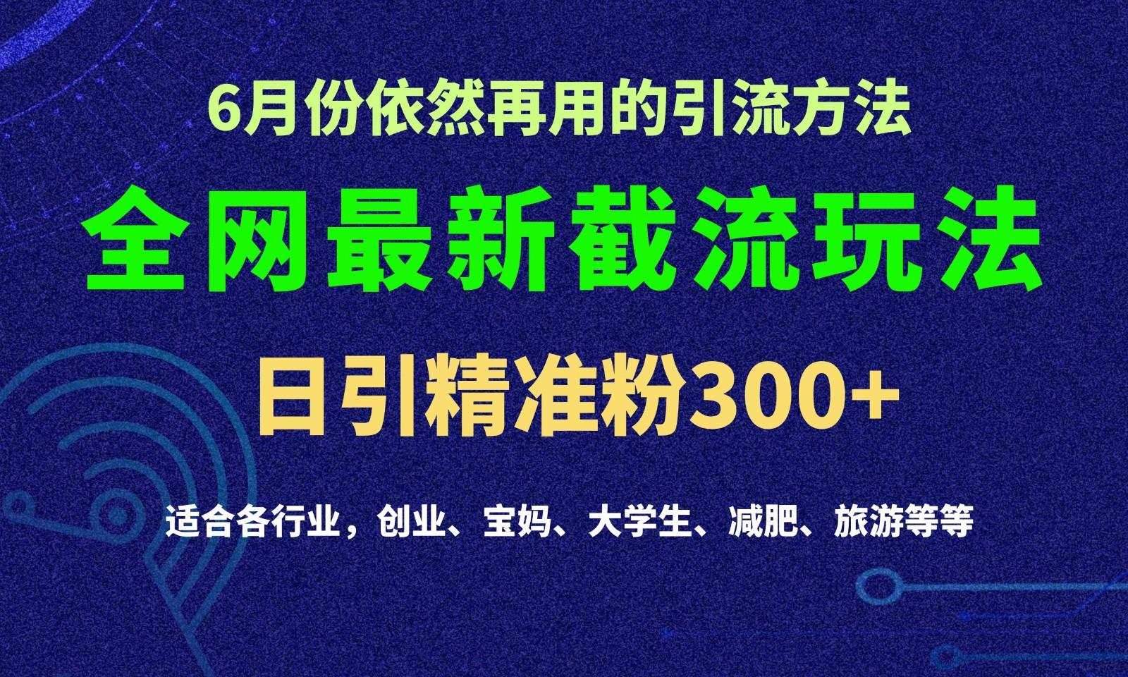2024全网最新截留玩法，每日引流突破300+-南友云赚