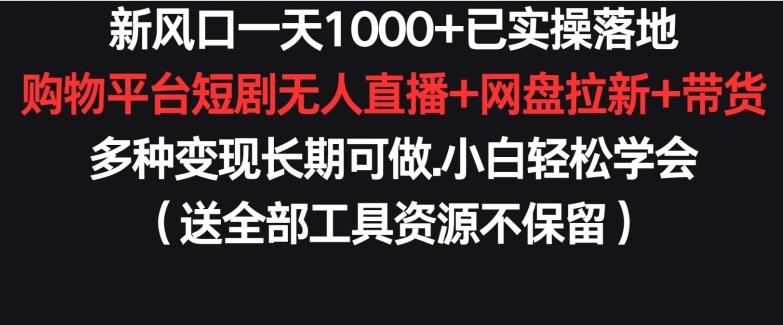 新风口一天1000+已实操落地购物平台短剧无人直播+网盘拉新+带货多种变现长期可做【揭秘】-南友云赚