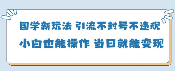 国学新玩法，引流不封号不违规小白也能操作，当日就能变现-南友云赚