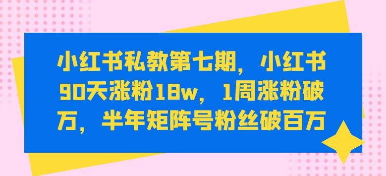 小红书私教第七期，小红书90天涨粉18w，1周涨粉破万，半年矩阵号粉丝破百万-南友云赚