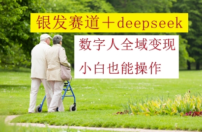 银发赛道+deepseek数字人全域变现，小白也能操作-南友云赚
