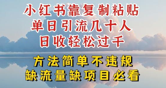 小红书靠复制粘贴单日引流几十人目收轻松过千，方法简单不违规【揭秘】-南友云赚