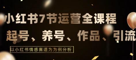 7节小红书运营实战全教程，结合最新情感赛道，打通小红书运营全流程【揭秘】-南友云赚