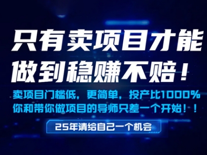 只有卖项目才能做到稳挣不赔，门槛低，更简单，你也可以年入百个W【揭秘】-南友云赚