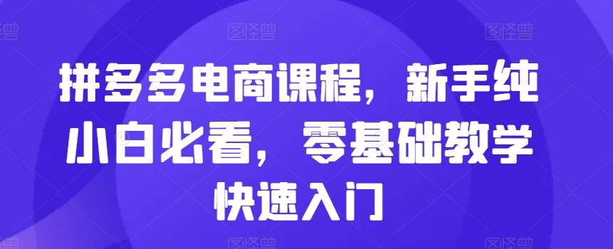 拼多多电商课程，新手纯小白必看，零基础教学快速入门-南友云赚