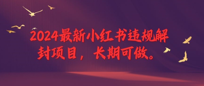2024最新小红书违规解封项目，长期可做，一个可以做到退休的项目【揭秘】-南友云赚