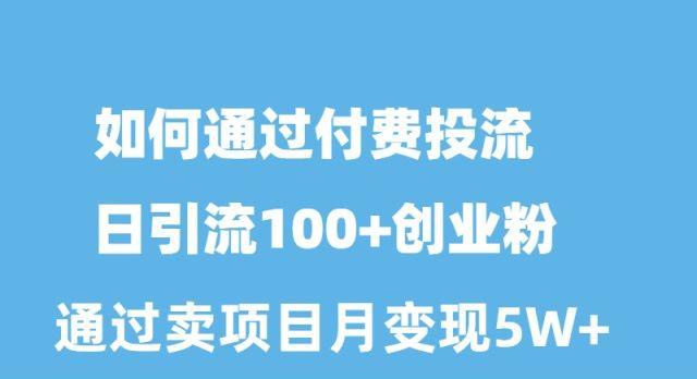 如何通过付费投流日引流100+创业粉月变现5W+-南友云赚