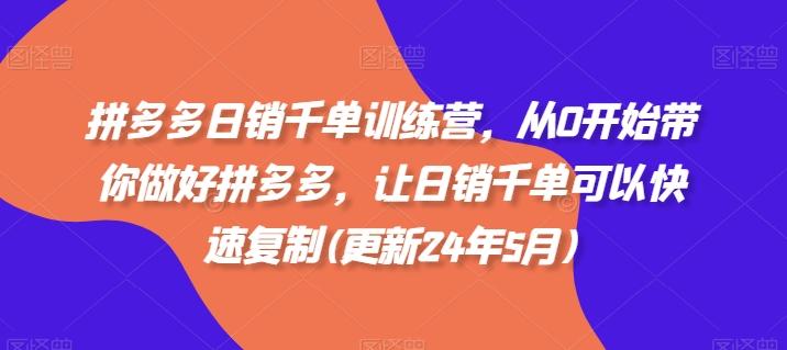 拼多多日销千单训练营，从0开始带你做好拼多多，让日销千单可以快速复制(更新24年5月)-南友云赚