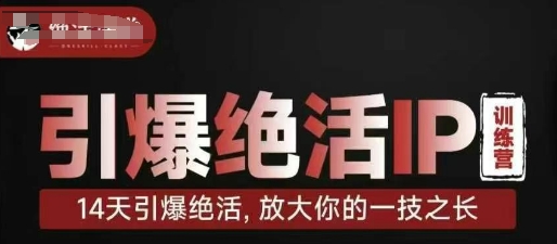 引爆绝活IP训练营，14天引爆绝活，放大你的一技之长-南友云赚