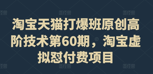 淘宝天猫打爆班原创高阶技术第60期，淘宝虚拟怼付费项目-南友云赚