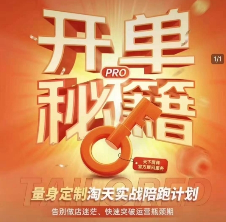 淘宝开单秘籍PRO，量身定制淘天实战陪跑计划，告别做店迷茫、快速突破运营瓶颈期-南友云赚