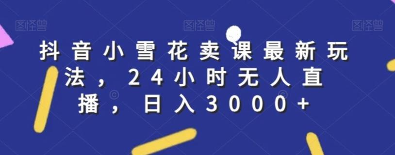 抖音小雪花卖课最新玩法，24小时无人直播，日入3000+【揭秘】-南友云赚