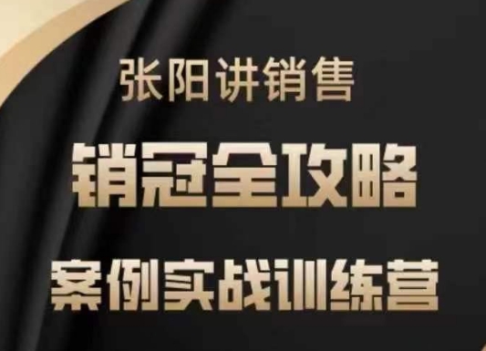 张阳讲销售实战训练营，​案例实战训练，销冠全攻略-南友云赚