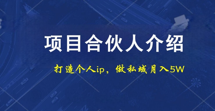 项目合伙人项目，打造个人IP，做私域月入5W，小白勿扰-南友云赚