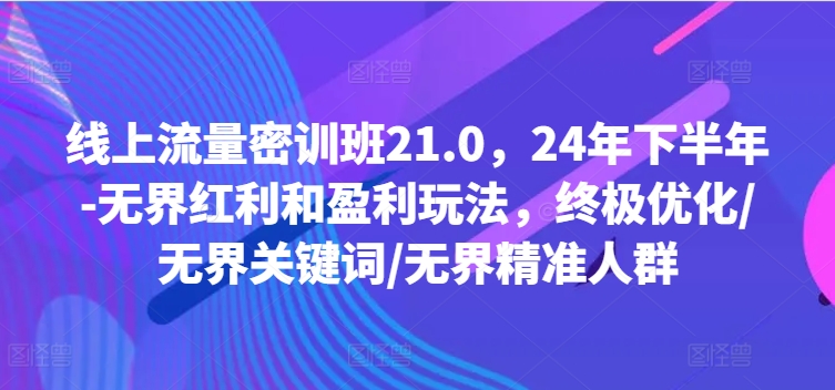线上流量密训班21.0，24年下半年-无界红利和盈利玩法，终极优化/无界关键词/无界精准人群-南友云赚