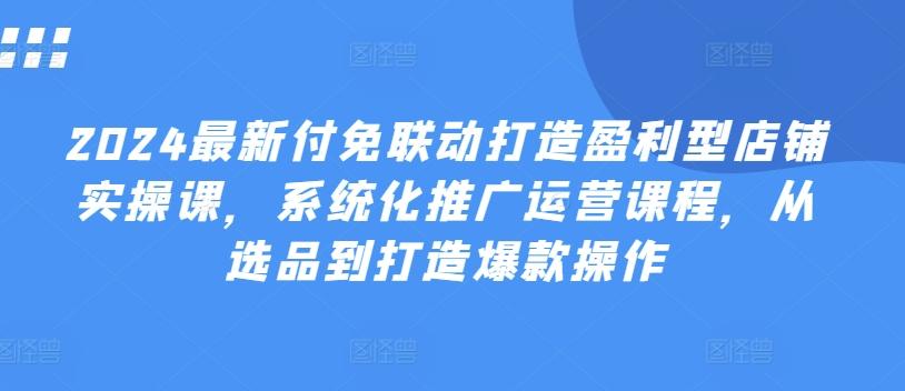 2024最新付免联动打造盈利型店铺实操课，​系统化推广运营课程，从选品到打造爆款操作-南友云赚