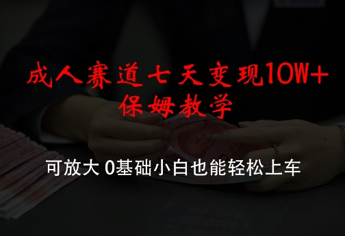 成人赛道七天变现10W+保姆教学，可放大，0基础小白也能轻松上车【揭秘】-南友云赚