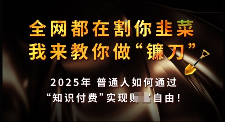 知识付费如何做到月入过W+，2025我来教你做“镰刀”【揭秘】-南友云赚