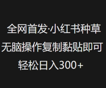 全网首发，小红书种草无脑操作，复制黏贴即可，轻松日入3张-南友云赚