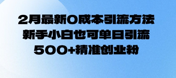 2月最新0成本引流方法，新手小白也可单日引流500+精准创业粉-南友云赚