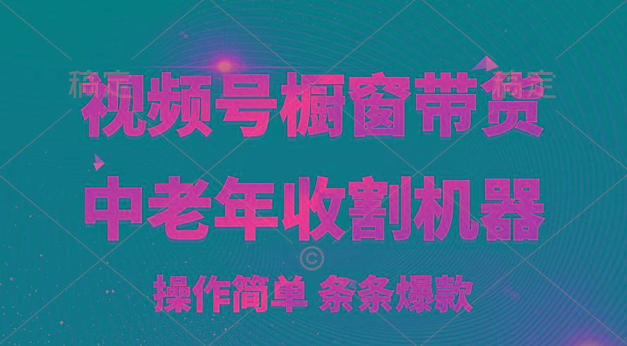 [你的孩子成功取得高位]视频号最火爆赛道，橱窗带货，流量分成计划，条…-南友云赚