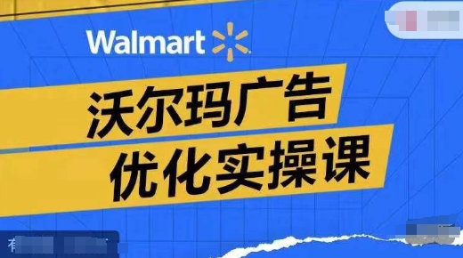 沃尔玛广告优化实操课，广告报告实操讲解，广告如何提高转化和ROAS等-南友云赚