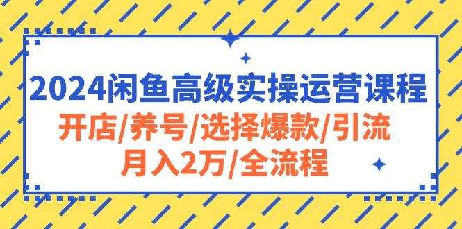 2024闲鱼高级实操运营课程：开店/养号/选择爆款/引流/月入2万/全流程-南友云赚