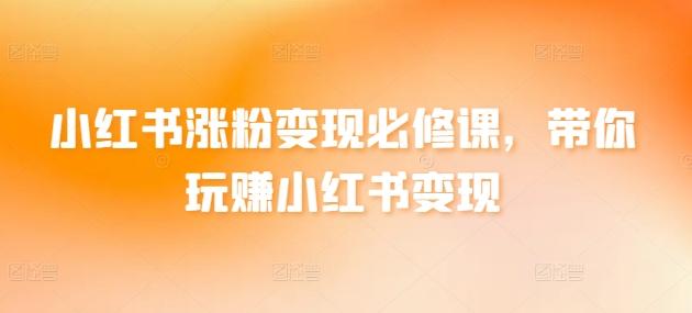 小红书涨粉变现必修课，带你玩赚小红书变现-南友云赚