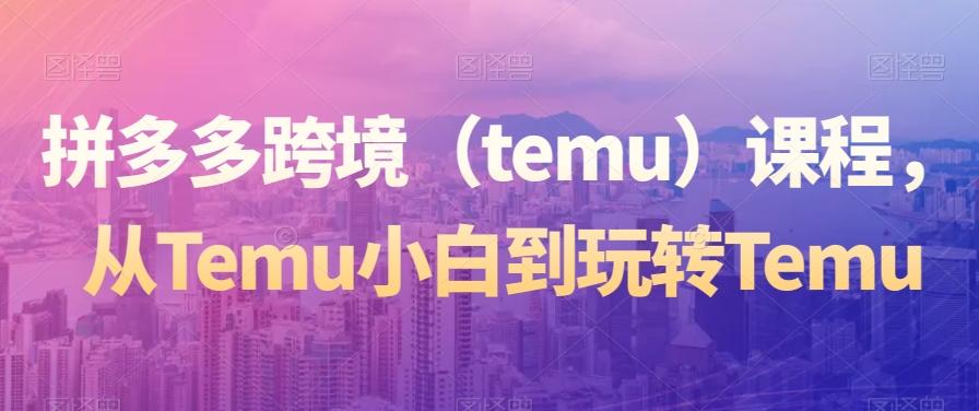 拼多多跨境（temu）课程，从Temu小白到玩转Temu-南友云赚