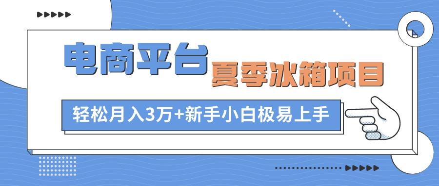 电商平台夏季冰箱项目，轻松月入3万+，新手小白极易上手-南友云赚
