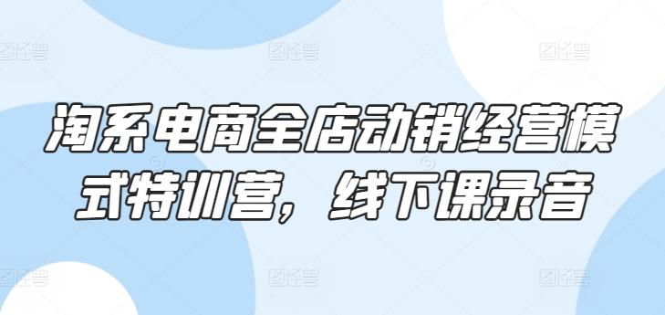 淘系电商全店动销经营模式特训营，线下课录音-南友云赚