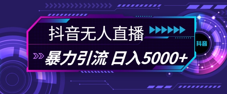 抖音快手视频号全平台通用无人直播引流法，利用图片模板和语音话术，暴力日引流100+创业粉【揭秘】-南友云赚