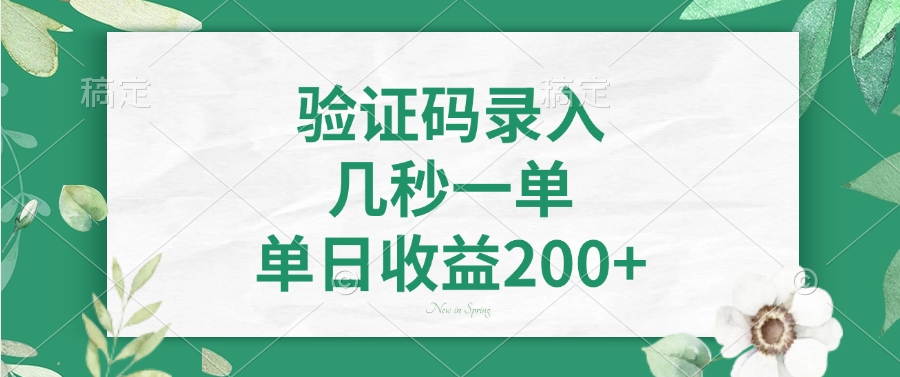 验证码录入，几秒一单，单日收益200+-南友云赚