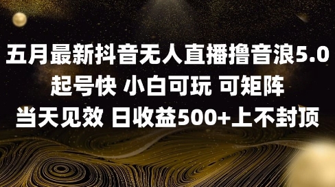 2025五月最新无人直播撸音浪单日产出5张+实操教程【揭秘】-南友云赚