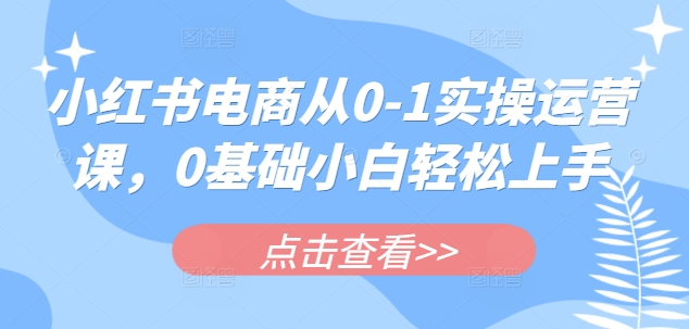 小红书电商从0-1实操运营课，0基础小白轻松上手-南友云赚