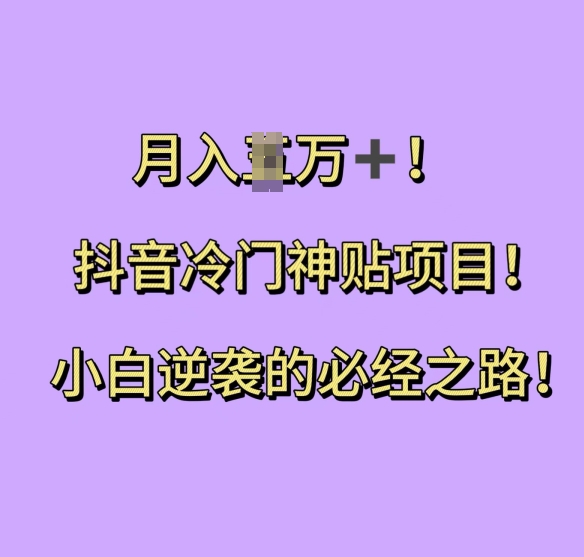 抖音冷门神贴项目，小白逆袭的必经之路，月入过W【揭秘】-南友云赚