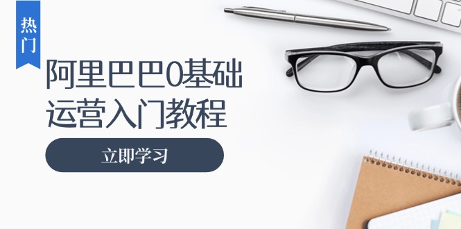 阿里巴巴运营零基础入门教程：涵盖开店、运营、推广，快速成为电商高手-南友云赚
