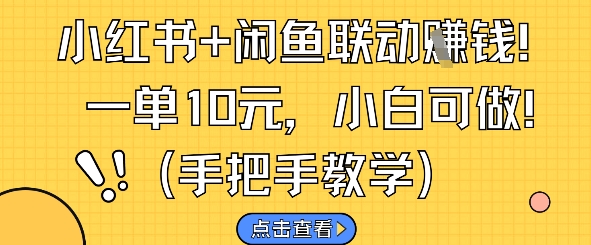 小红书+闲鱼联动挣钱，一单10元，小白可做-南友云赚