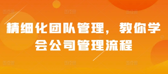 精细化团队管理，教你学会公司管理流程-南友云赚