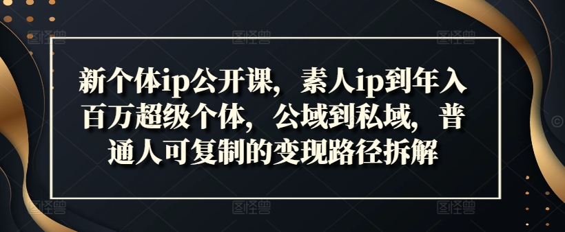 新个体ip公开课，素人ip到年入百万超级个体，公域到私域，普通人可复制的变现路径拆解-南友云赚