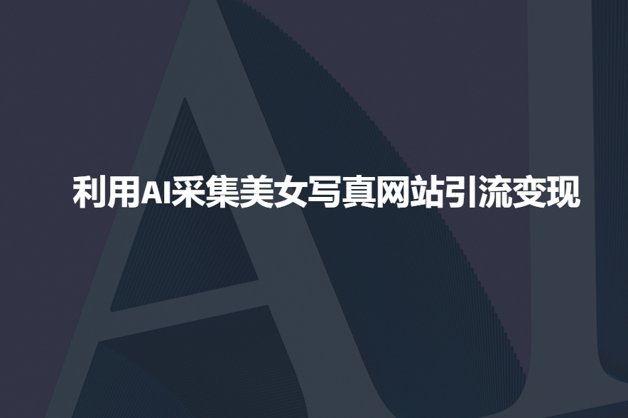 利用AI采集美女写真网站引流变现，引流嘎嘎的-南友云赚